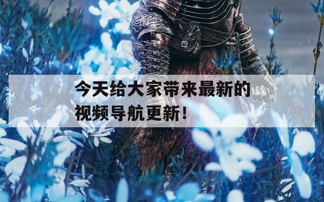 今天给大家带来最新的视频导航更新！